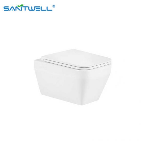 wall hung toilet