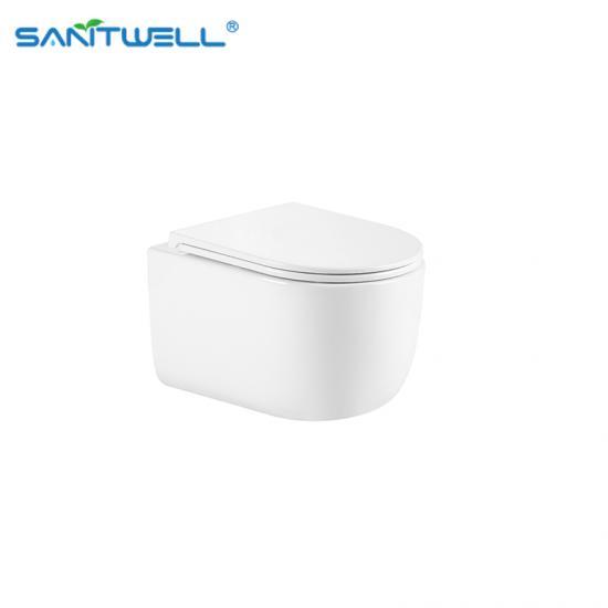 wall hung toilet