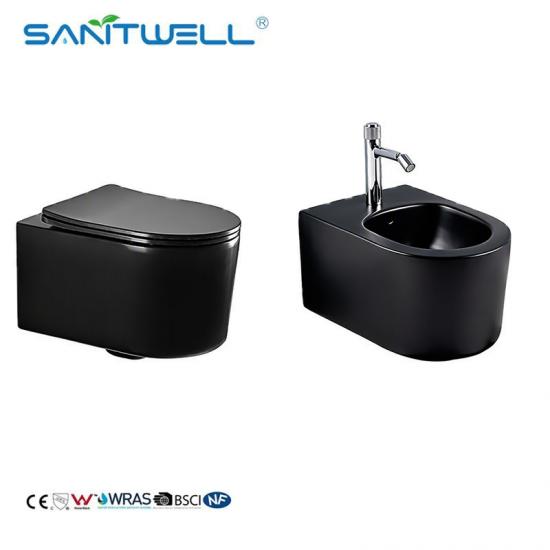 Wall hung toilet